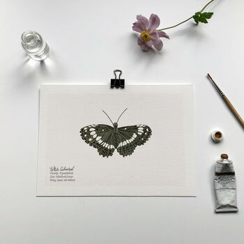Set Of Butterfly A5 Giclée Art Prints, 4 of 11