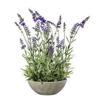 Faux Potted Lavender Bowl, 2 of 4
