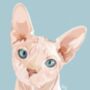 Personalised Pet Cat Portrait Print, thumbnail 4 of 5