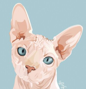 Personalised Pet Cat Portrait Print, 4 of 5