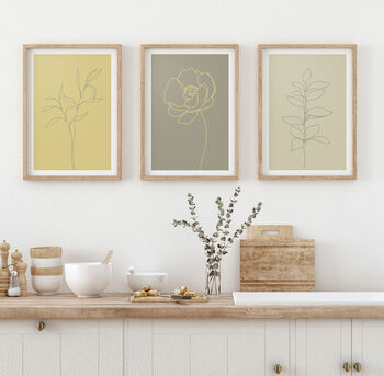 Colour Floral Line Art Set Of Three Posters, 5 of 8