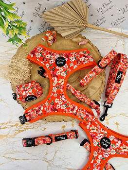 Sweet Marmalade Floral Dog Harness, 4 of 4