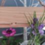 Wild Flowers Gift Set With Flower Drying Rack, thumbnail 9 of 9
