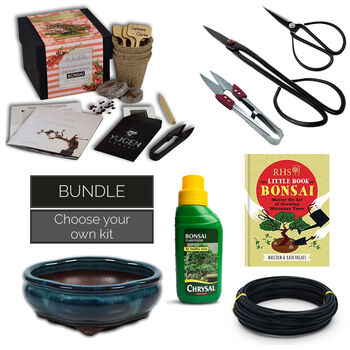 Master Bonsai Tree Starter Kit Bundle, 2 of 9