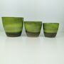 Semi Glazed Flora Green Ceramic Indoor Plant Pots, thumbnail 3 of 3