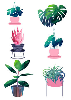 House Plants Art Print, 3 of 3