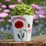 'Remembering' Poppy Plant Pot With Poppy Seeds, thumbnail 1 of 3