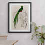 Vintage Quetzal Green Bird Wall Art Print, thumbnail 3 of 4