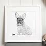 Personalised Pet Dog Portrait Sketch, thumbnail 1 of 12