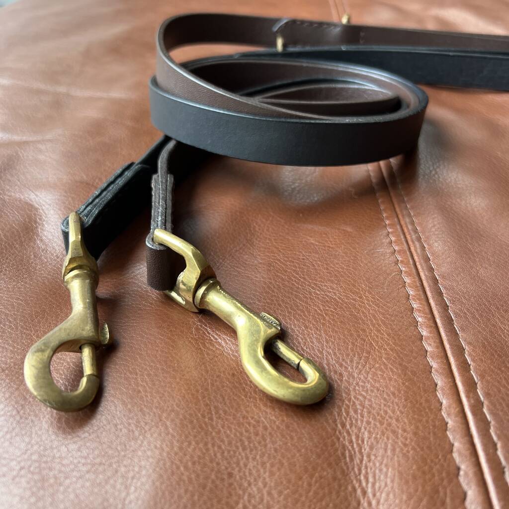 Handmade Buffalo Leather Dog Lead In Two Colours, 1 of 6