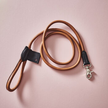Personalised Leather Dog Lead, 2 of 8