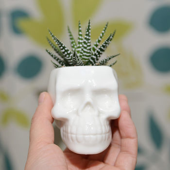 Ceramic Skull Vase Succulent Terrarium, 2 of 2