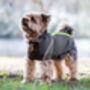 Yorkshire Terrier Polartec Dog Coat, thumbnail 2 of 5