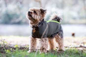 Yorkshire Terrier Polartec Dog Coat, 2 of 5