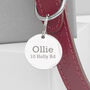 Personalised Classic Leather Dog Collar With Tag, thumbnail 6 of 12