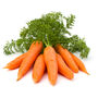 Carrot 'Chantenay' 12 X Plant Pack, thumbnail 1 of 6
