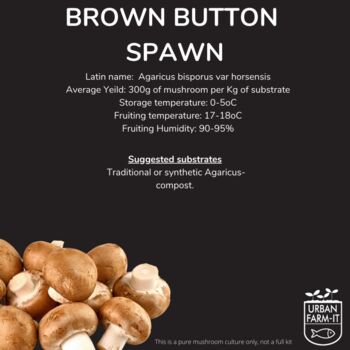 Brown Button Mushroom Grain Spawn 1l, 5l, 4 of 4