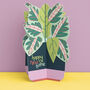 3D Fold Out 'Happy New Home' Plant Card, thumbnail 1 of 3