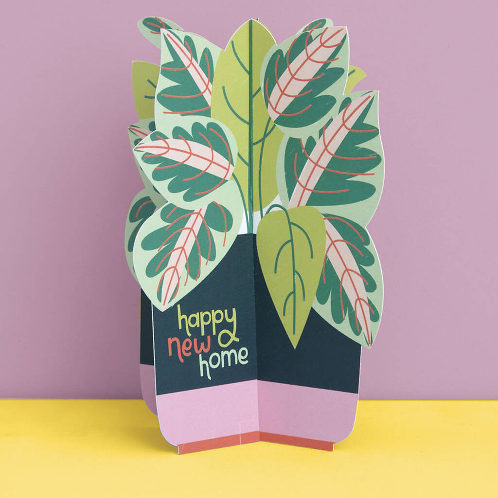 3D Fold Out 'Happy New Home' Plant Card, 1 of 3