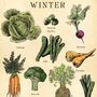 Seasonal Fruit And Vegetable Poster, UK Version, thumbnail 6 of 6