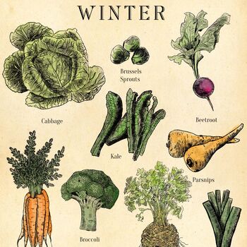 Seasonal Fruit And Vegetable Poster, UK Version, 6 of 6