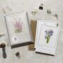 Set Of Six Different Purple And Blue Floral Notecards, thumbnail 11 of 11