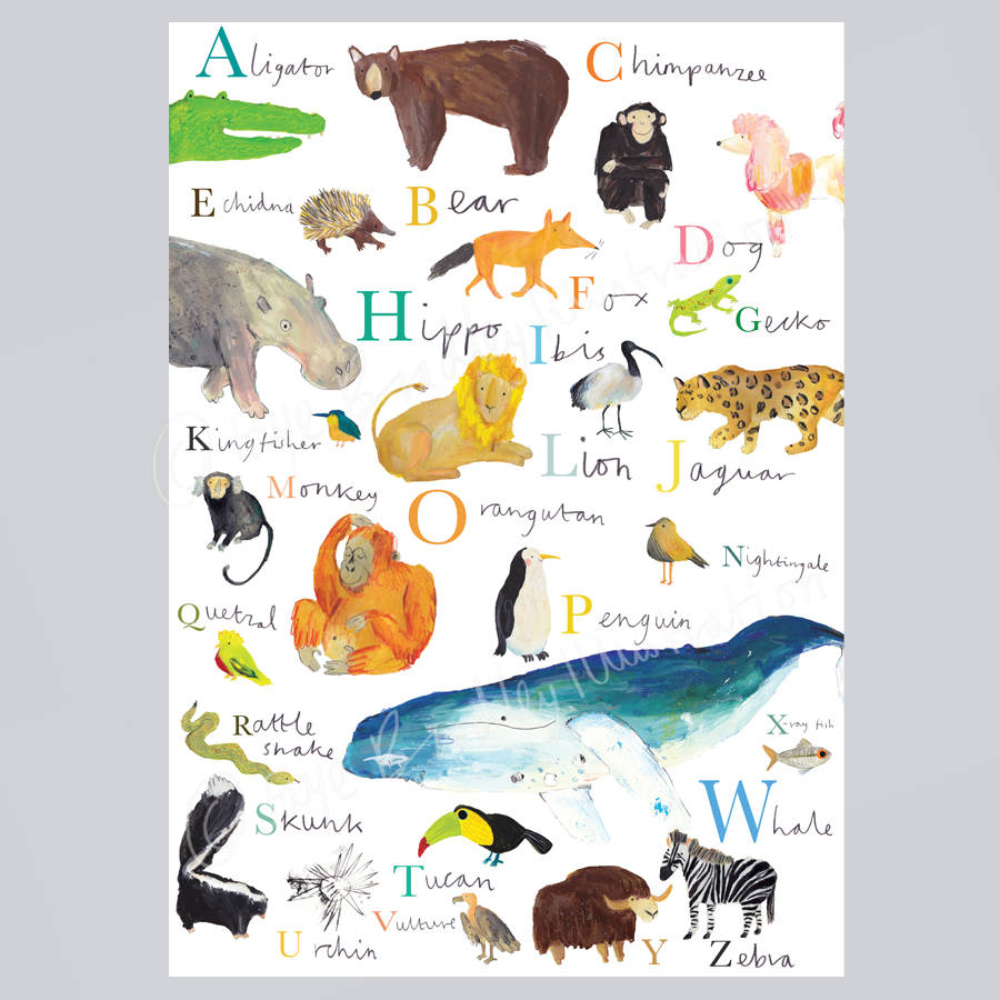 animal alphabet illustration print by faye bradley illustration ...