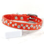 Chaos Theory Designer Dog Collar, thumbnail 1 of 7