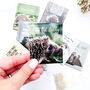 Hedgehog Gift Tea Set, thumbnail 3 of 12