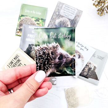 Hedgehog Gift Tea Set, 3 of 12