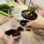 Carnivorous Plant Terrarium Workshop For Two, Manchester, thumbnail 8 of 11