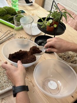 Carnivorous Plant Terrarium Workshop For Two, Manchester, 8 of 11