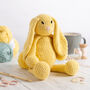 Easter Bunny Easy Crochet Kit, thumbnail 1 of 7