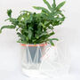 Origami Self Watering Eco Plant Pot: 18cm | Coral Cord, thumbnail 6 of 7
