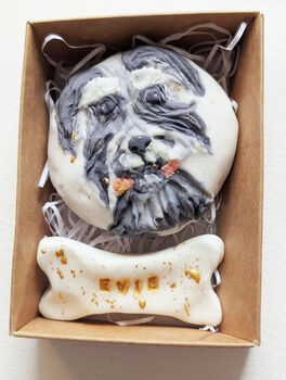 Personalised Hand Iced Pet Portraite Letterbox Biscuit Gift, 7 of 11