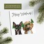 Two Or More Pet Personalised 'Funny Glasses' Christmas Card, thumbnail 2 of 8