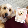 Personalised 'Buddy' Dog Birthday Card, thumbnail 1 of 8