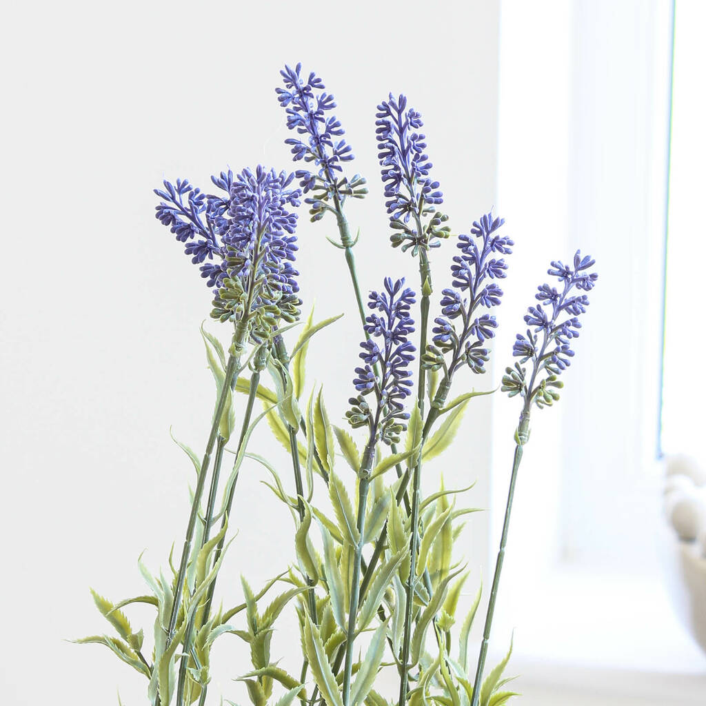 artificial lavender plant by marquis & dawe