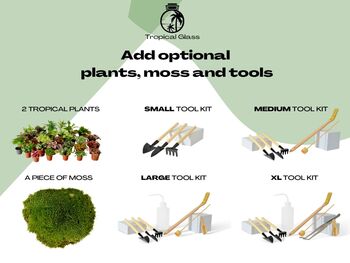 Small Diy Terrarium Kit With Optional Plants And Tools, 6 of 6
