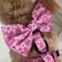 Dog Collar | Pink Princess, thumbnail 1 of 10