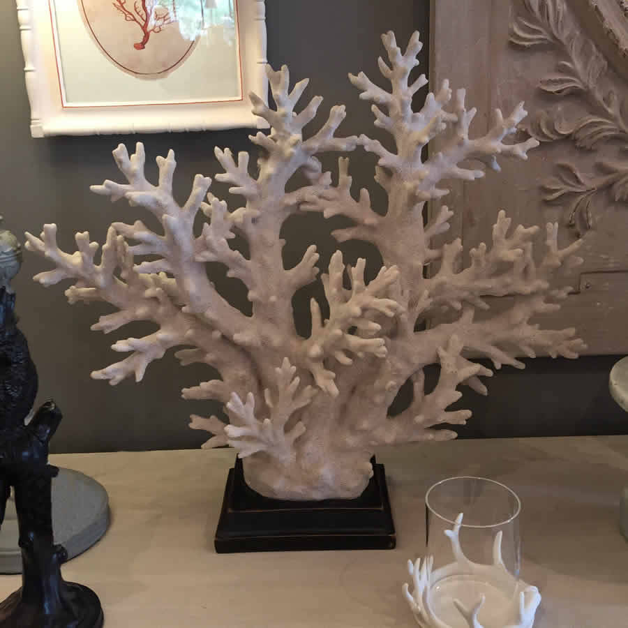 St Tropez White Coastal Coral Tree On Stand By Cowshed Interiors