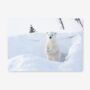 Placemats Featuring A Polar Bear Cub, thumbnail 1 of 2