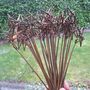 Eco Friendly Handmade Childrens Willow Wands, thumbnail 5 of 5