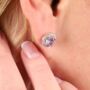 Sterling Silver Lavender Halo Radiance Sparkling Stud Earrings, thumbnail 8 of 8