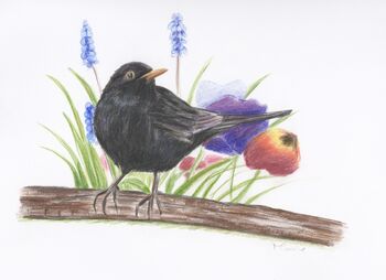 Set Of Five Wildlife Cards Blank Notecards, 3 of 5