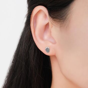 Oxidised Trilobite Fossil Stud Earrings In Sterling Silver, 4 of 11