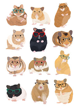 Hamsters In Glasses, 2 of 2