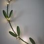 Mistletoe Wreath, thumbnail 3 of 3