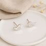 Sterling Silver Little Bird Stud Earrings – 7mm, thumbnail 2 of 8
