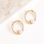 Matt Gold Colour Twist Hoop And Pearl Earrings, thumbnail 1 of 3